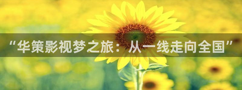 飘零在线影院：“华策影视梦之旅：从一线走向全国”