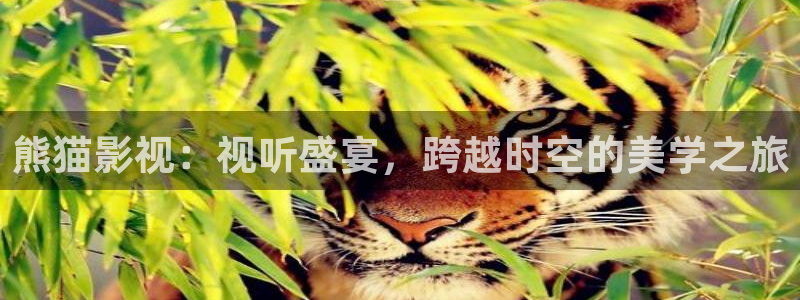飘零影院在线观看：熊猫影视：视听盛宴，跨越时空的美学之旅