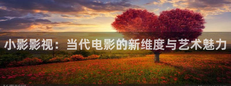 飘零在线影院：小影影视：当代电影的新维度与艺术魅力