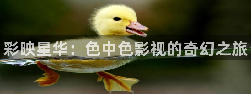 飘零影院最新电影网：彩映星华：色中色影视的奇幻之旅