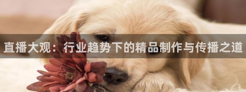 飘零免费电影：直播大观：行业趋势下的精品制作与传播之道