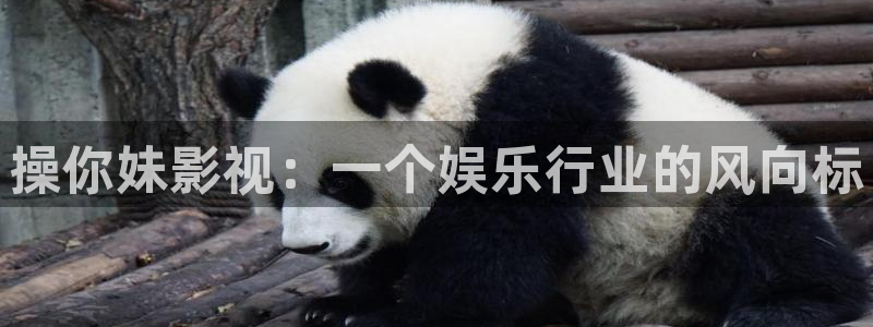 飘零影院在线免费观看：操你妹影视：一个娱乐行业的风向标