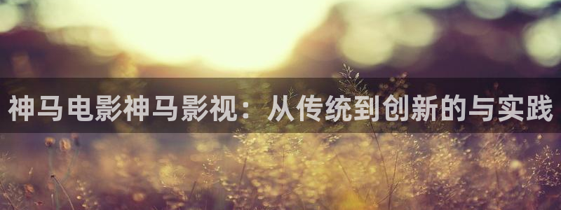 飘零影院在线观看免费：神马电影神马影视：从传统到创新的与实践