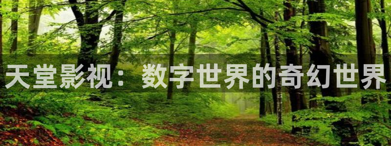 飘零电影院线免费