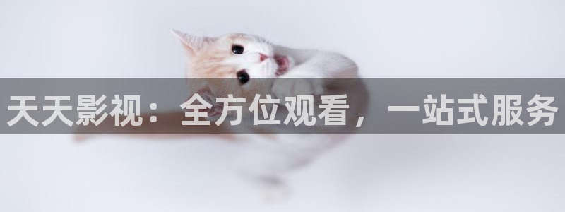 未来飘零影院：天天影视：全方位观看，一站式服务